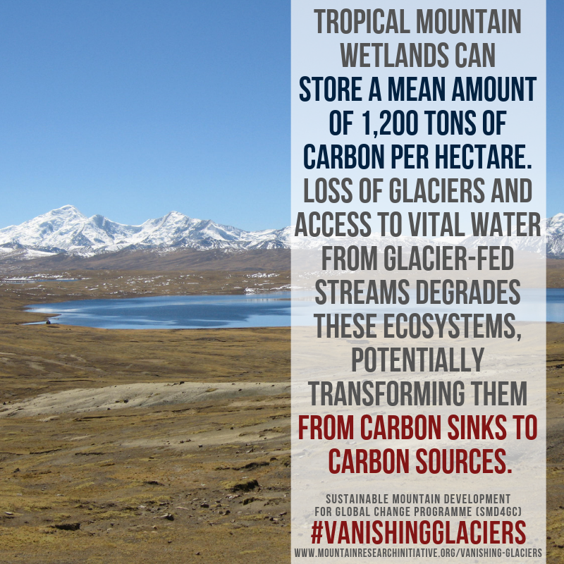 Vanishing Glaciers 10