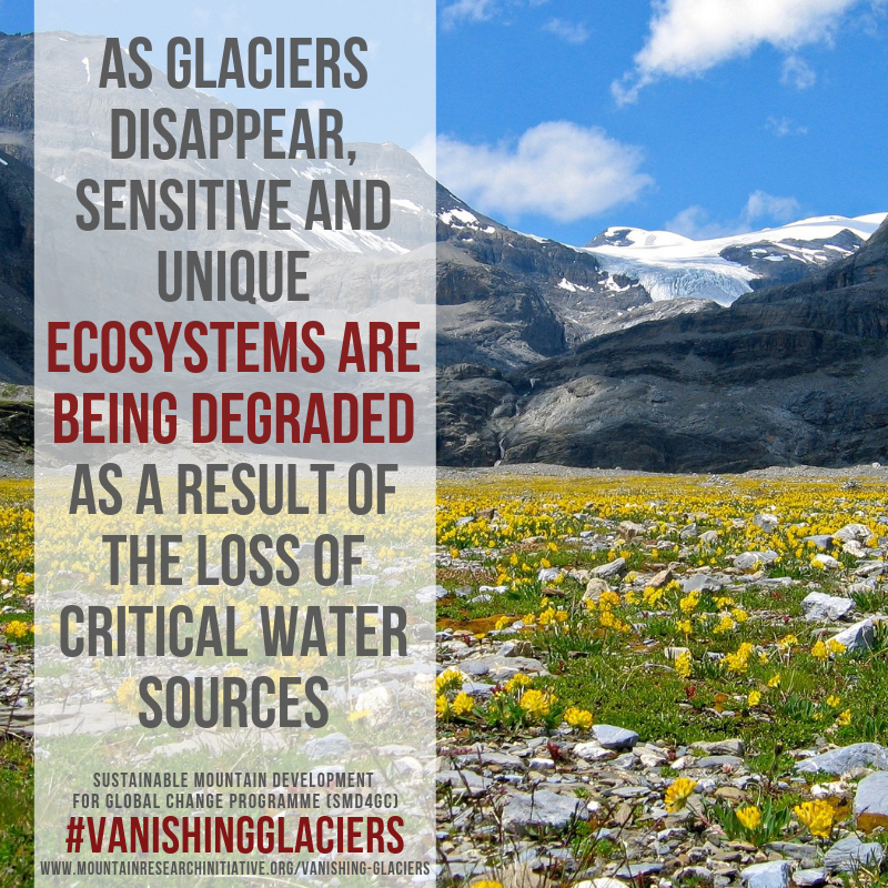 Vanishing Glaciers 2
