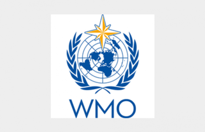 WMO logo resized